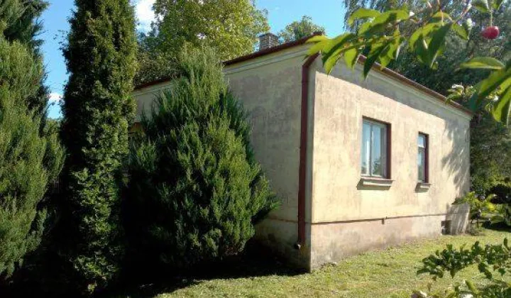 Działka siedliskowa Żabcze