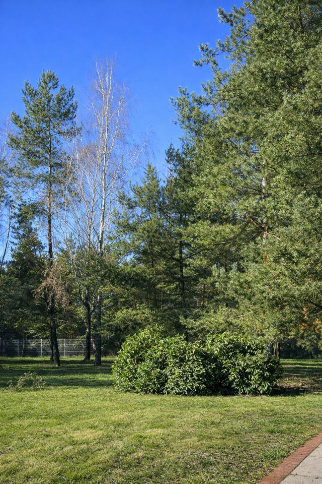 dom wolnostojący, 7 pokoi Rościsławice, ul. Wołowska. Zdjęcie 12