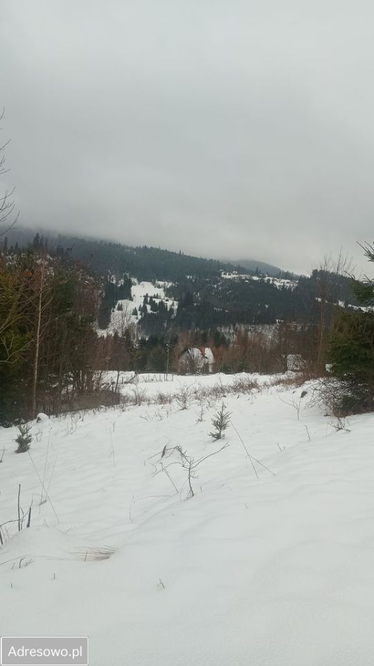 Działka rolna Złatna. Zdjęcie 4