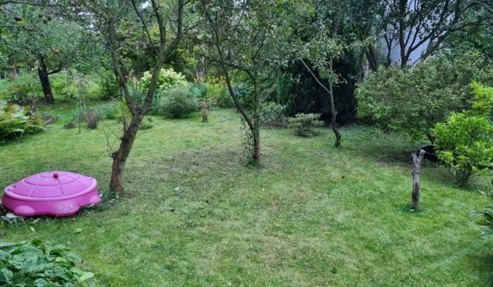 Działka rod Łódź Polesie, ul. Konstantynowska