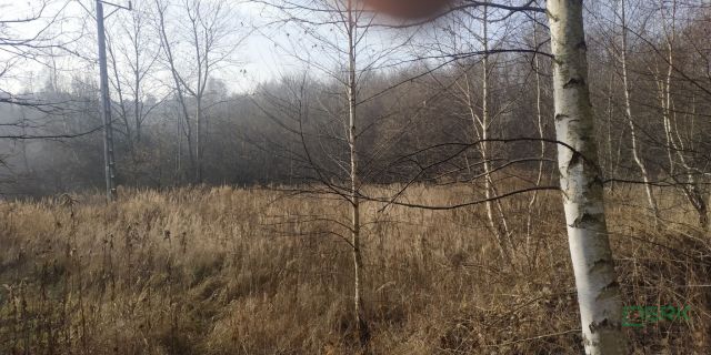 Działka inna Rybnik Niedobczyce, ul. Bolesława Śmiałego. Zdjęcie 2