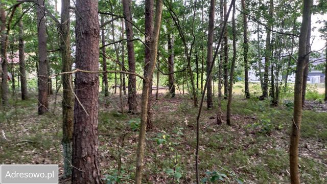 Działka budowlana Warszawa Wawer, ul. Wiązowska. Zdjęcie 13