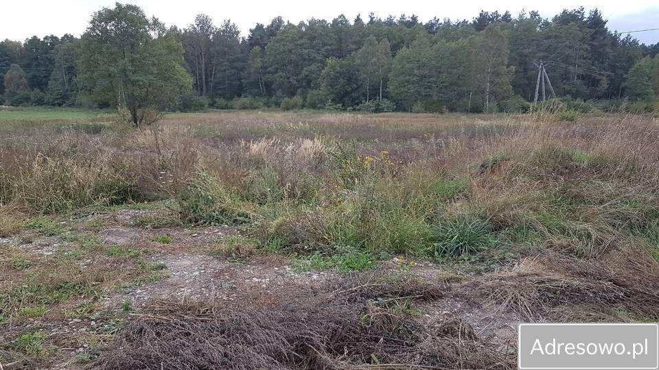 Działka rolna Czostków. Zdjęcie 2