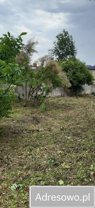 Działka budowlana Młodzieszyn. Zdjęcie 1