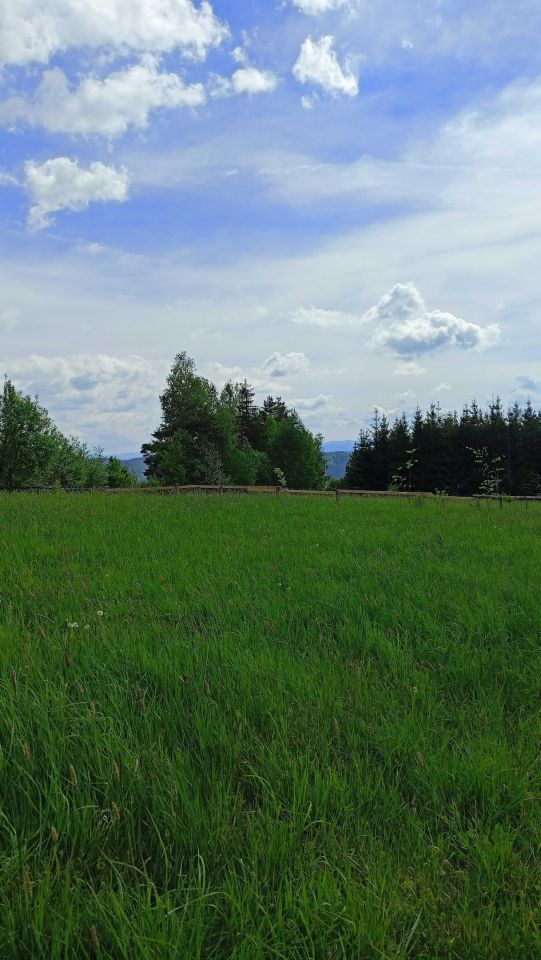 Działka rolna Sidzina. Zdjęcie 4