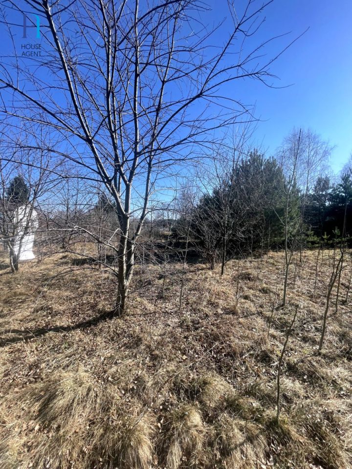 Działka budowlana Janów. Zdjęcie 12