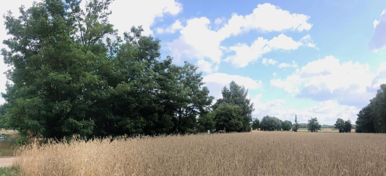 Działka budowlana Głodno. Zdjęcie 5