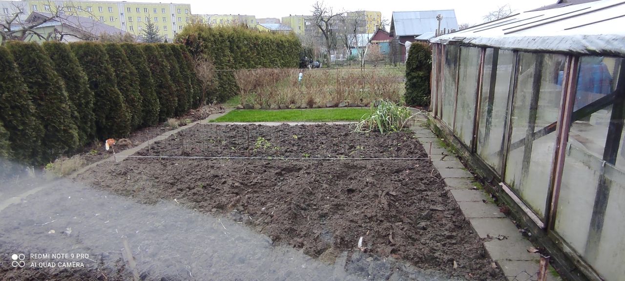 Działka rod Ełk. Zdjęcie 3