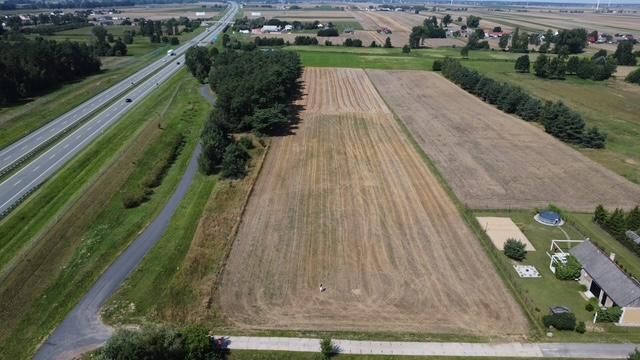 Działka leśna Borki. Zdjęcie 1