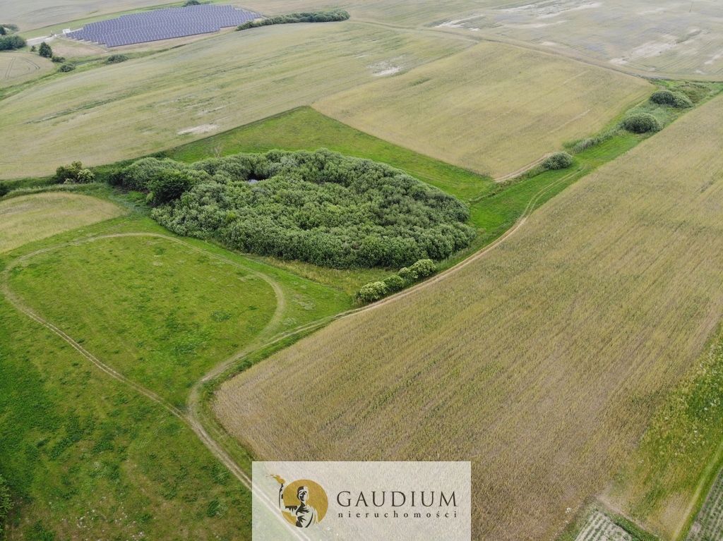 Działka inwestycyjna Sztum. Zdjęcie 10