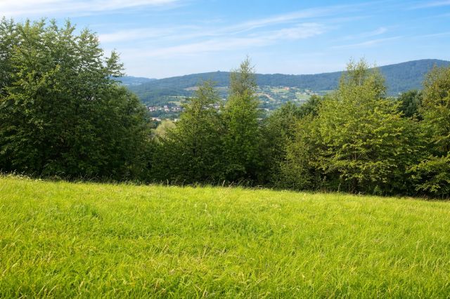 Działka inwestycyjna Ściegny, ul. Widokowa. Zdjęcie 2