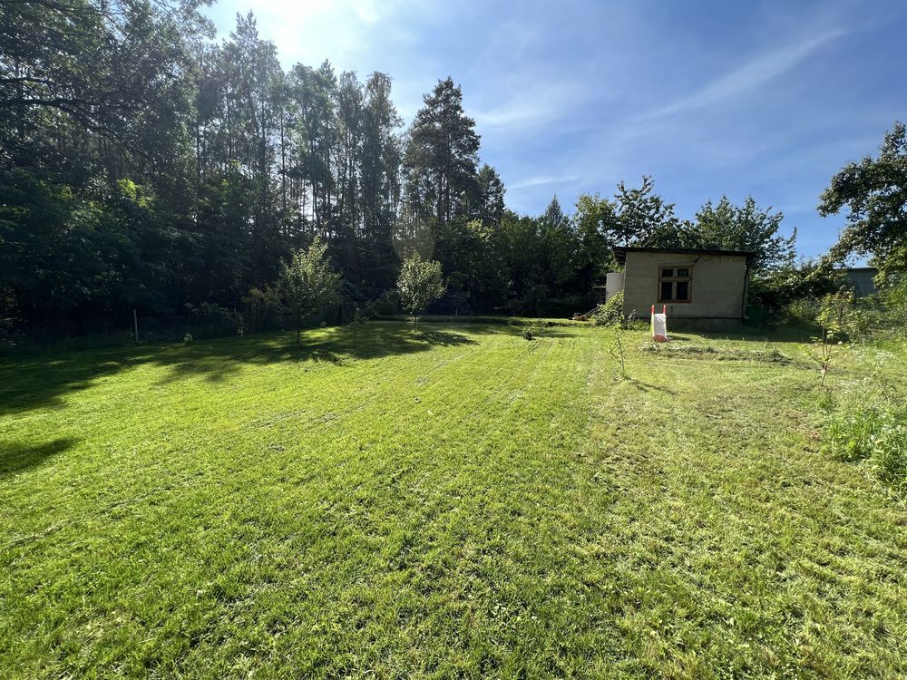 Działka rod Wilkanowo. Zdjęcie 1