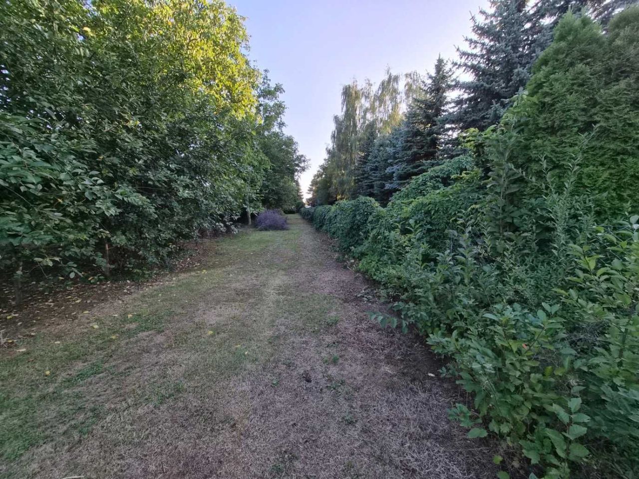 Działka budowlana Zębowice. Zdjęcie 5