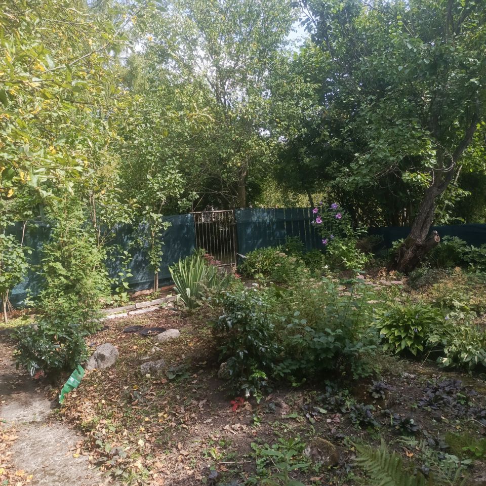 Działka rod Gliwice Ligota Zabrska, ul. Akademicka. Zdjęcie 21