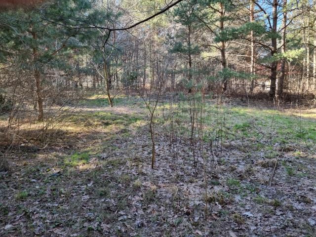 Działka budowlana Strzeniówka. Zdjęcie 1