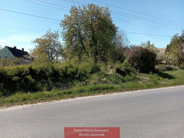 Działka budowlana Pożarzysko. Zdjęcie 1