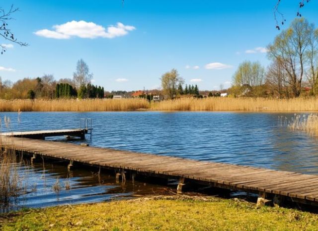 Działka Regielnica. Zdjęcie 11