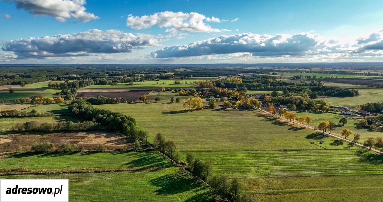 Działka budowlana Gościnowo. Zdjęcie 7