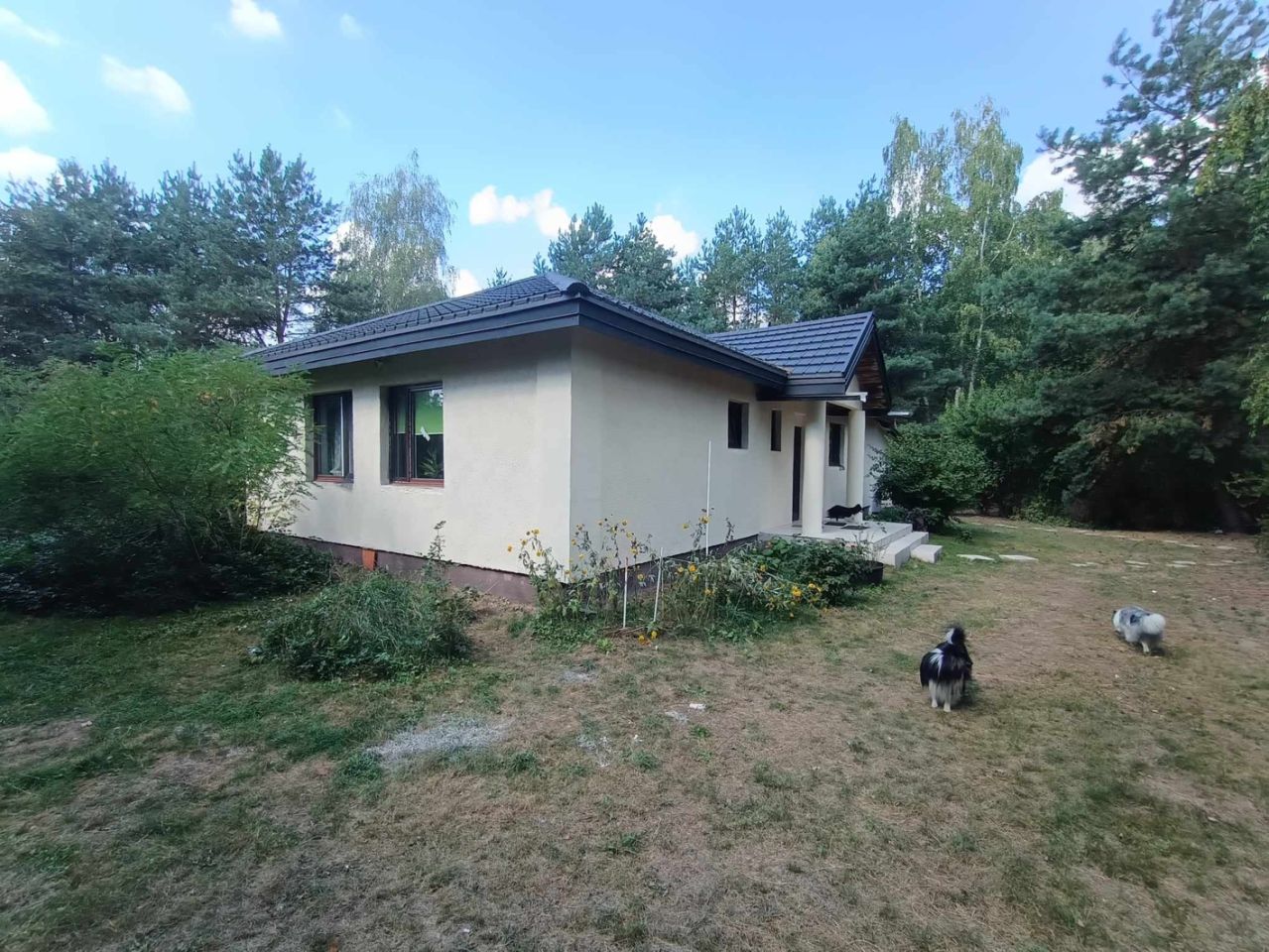 dom wolnostojący, 5 pokoi Budy Michałowskie. Zdjęcie 5