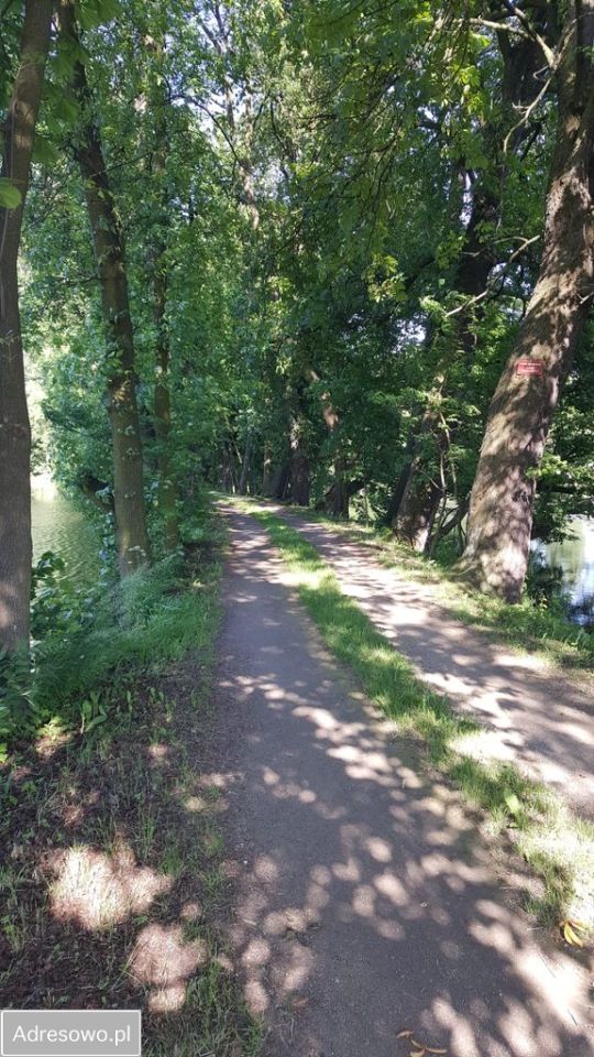 Działka inwestycyjna Żarki, ul. Koziegłowska. Zdjęcie 4