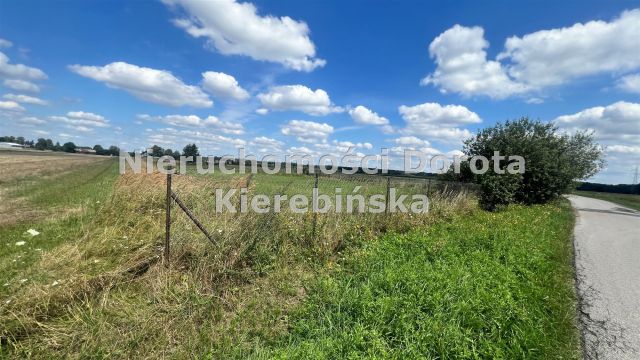 Działka budowlana Studzianki. Zdjęcie 2