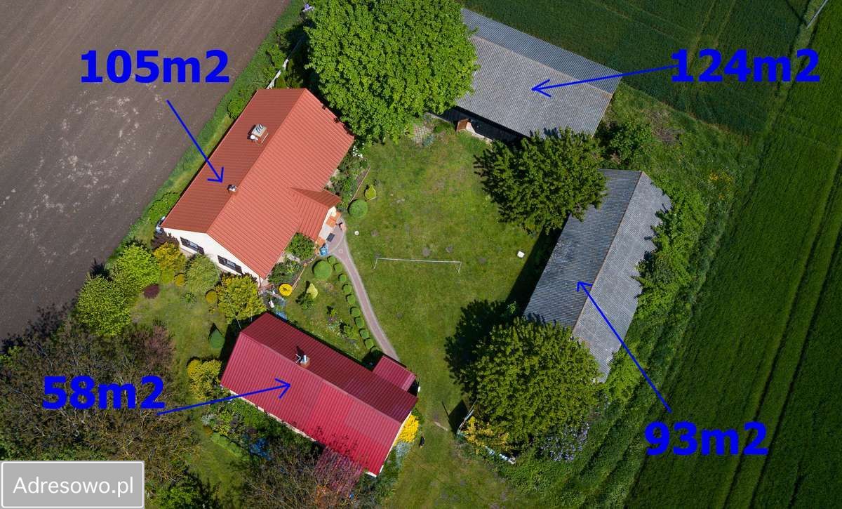 siedlisko, 3 pokoje Boleszyn Boleszyn-Kolonie. Zdjęcie 2