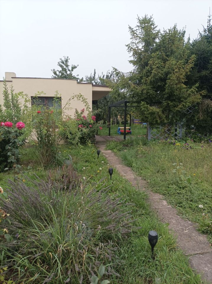 Działka rod Koźmin Wielkopolski