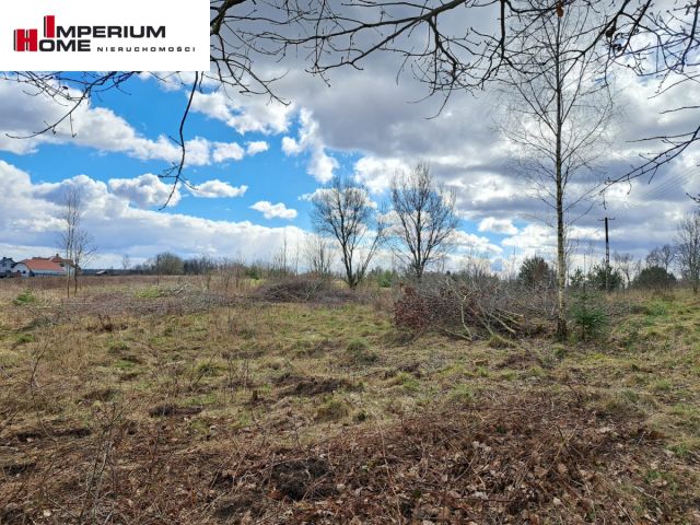 Działka inwestycyjna Grzybno, ul. Miodowa. Zdjęcie 5