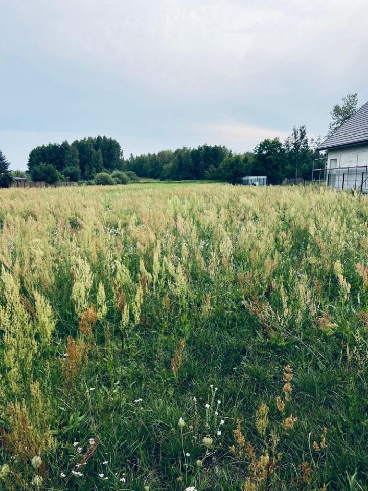 Działka budowlana Jedlińsk, ul. Piaskowa. Zdjęcie 4