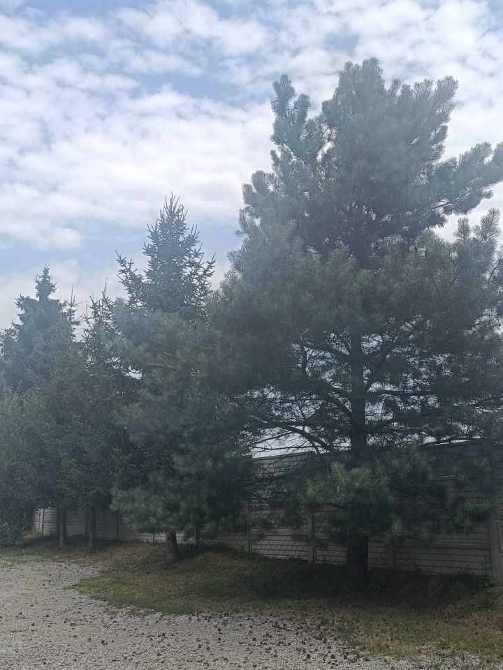 dom Sieniawka. Zdjęcie 5