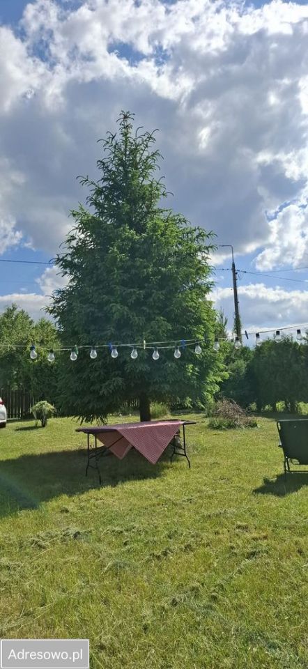 dom wolnostojący, 3 pokoje Borki. Zdjęcie 16
