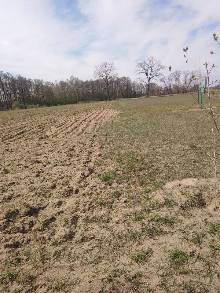 Działka rolno-budowlana Arciechów. Zdjęcie 4