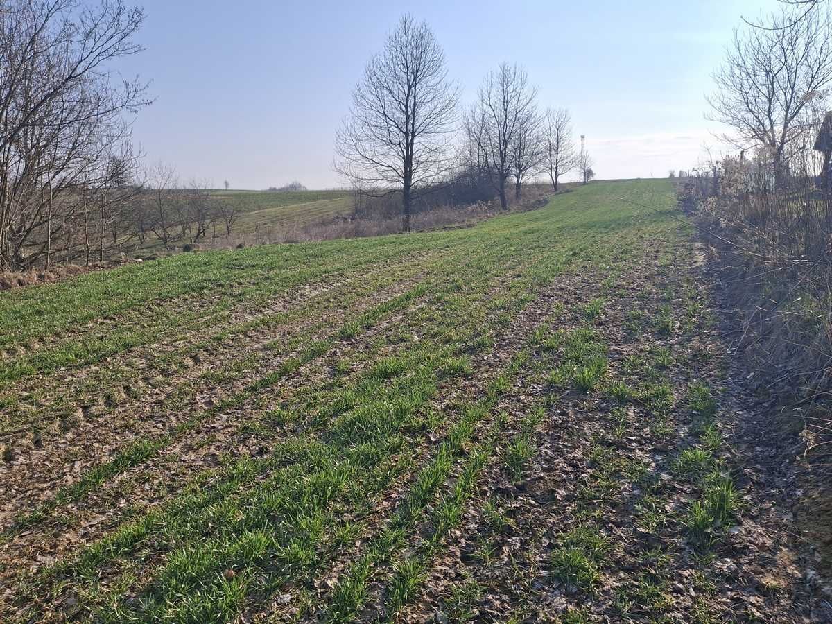 Działka rolno-budowlana Karpiówka. Zdjęcie 2