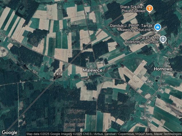 Działka leśna Malewice. Zdjęcie 1