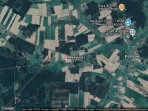 Działka leśna Malewice