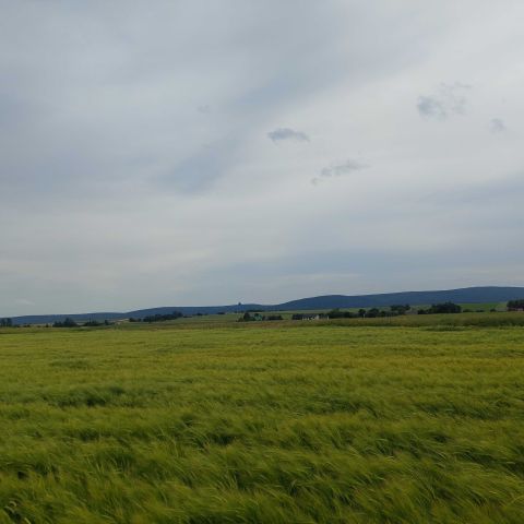 Działka rolna Czajęcice. Zdjęcie 1