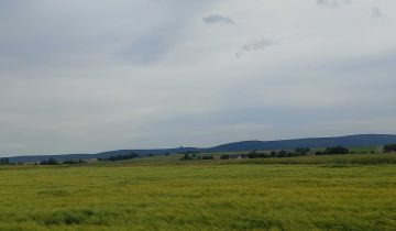 Działka rolna Czajęcice