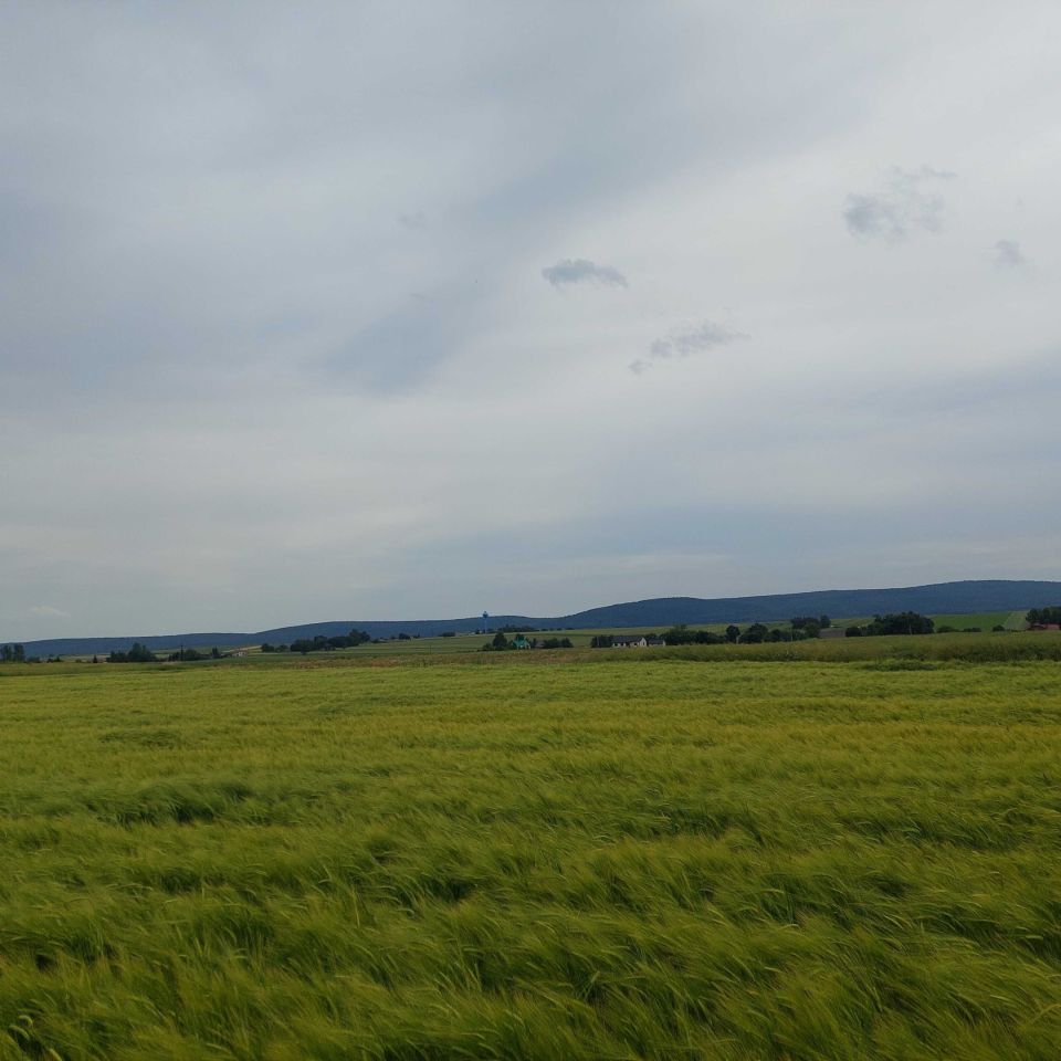 Działka rolna Czajęcice