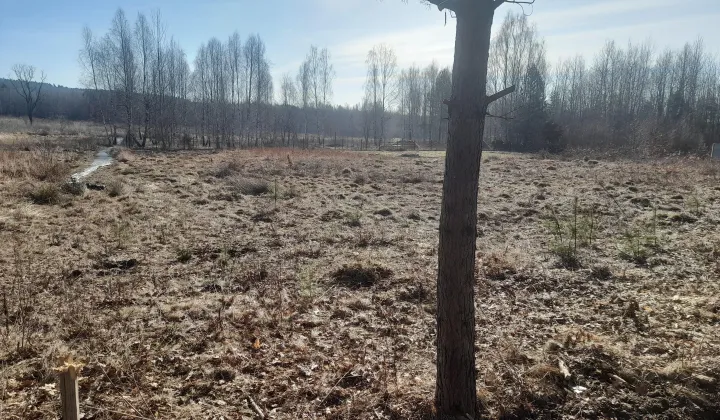 Działka budowlana Samsonów-Podlesie