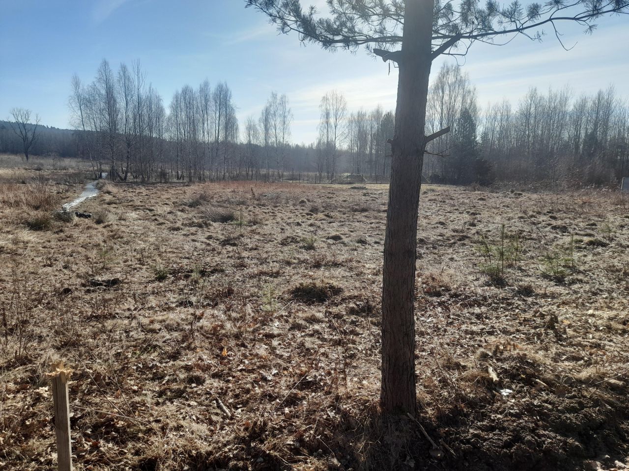 Działka budowlana Samsonów-Podlesie. Zdjęcie 1