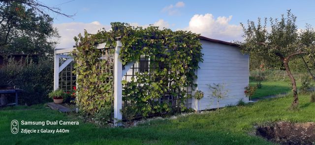 Działka rekreacyjna Opole, ul. Harcerska. Zdjęcie 1