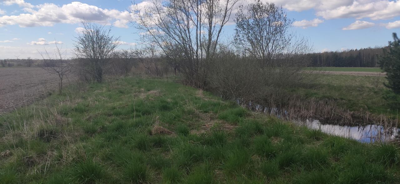 Działka rolno-budowlana Zgniłe Błoto Błoto C. Zdjęcie 5