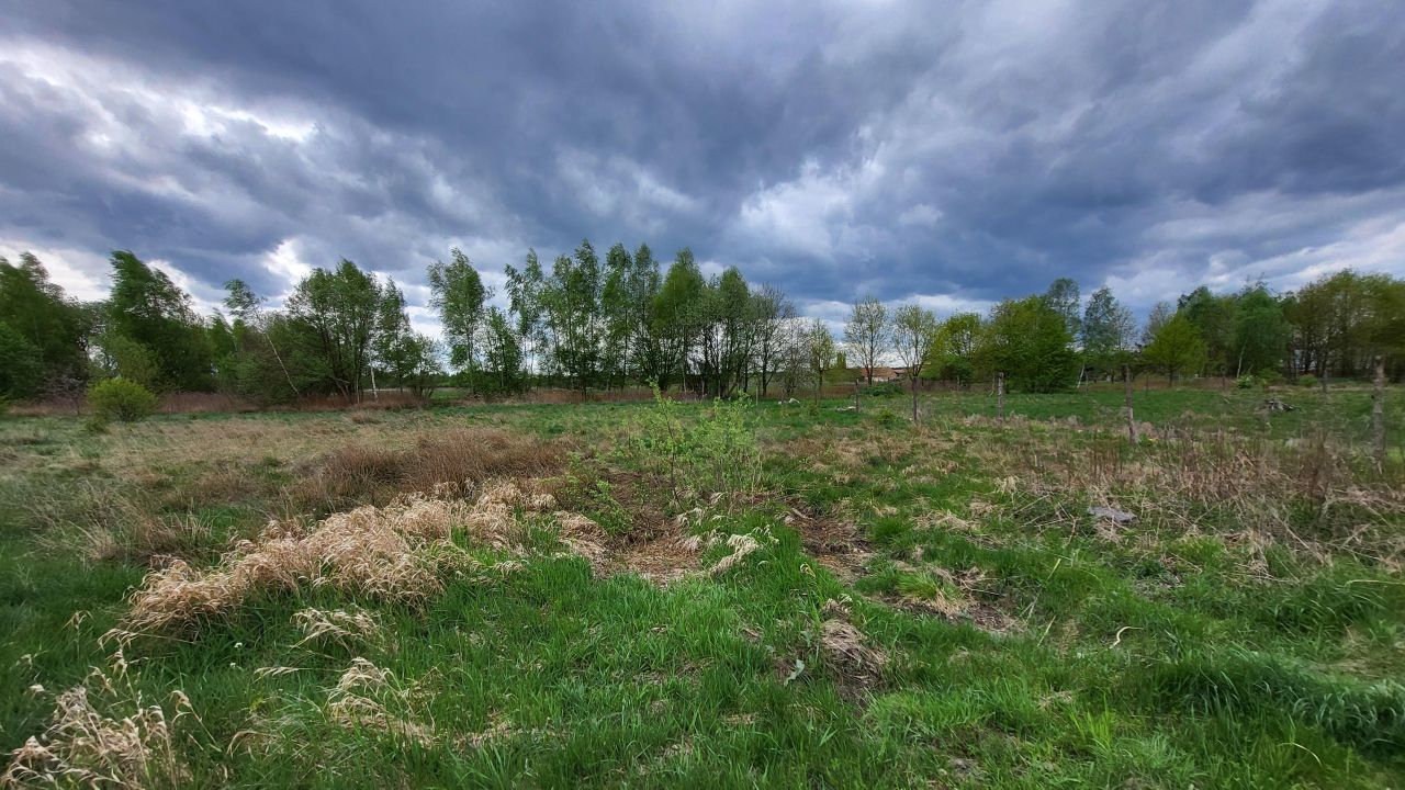 Działka budowlana Górzyn. Zdjęcie 15