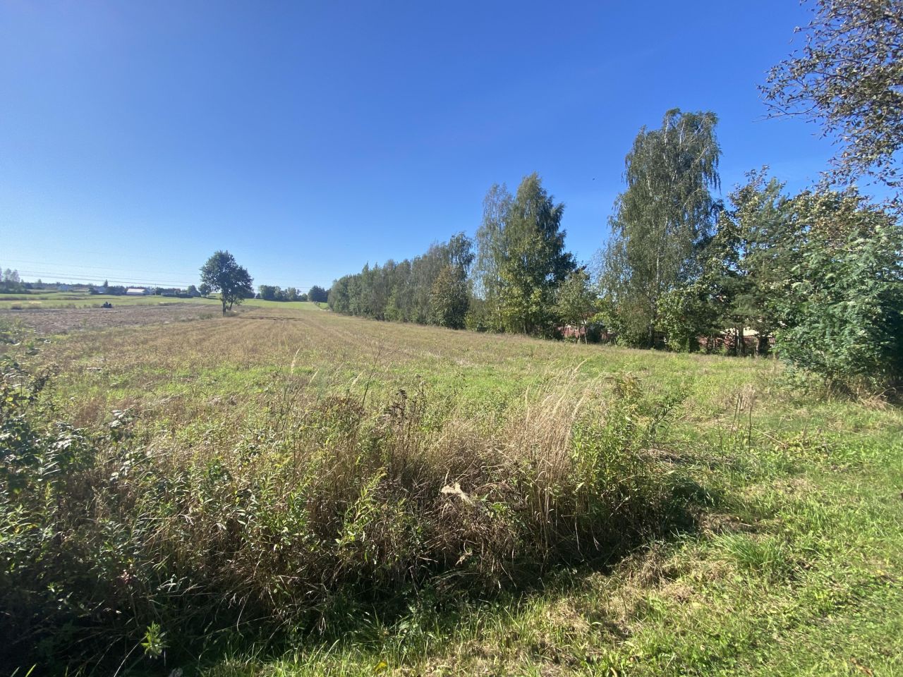 Działka rolna Stawki Zofiówka. Zdjęcie 2