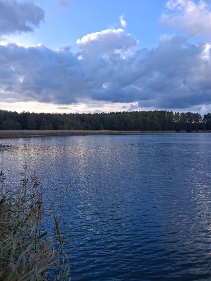 Działka budowlana Bukowiec. Zdjęcie 5