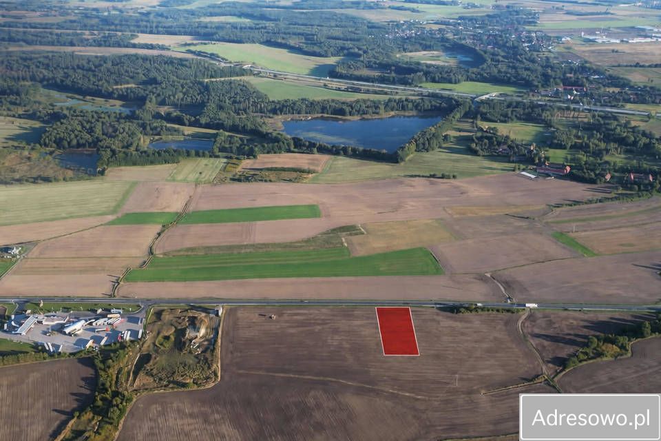 Działka inwestycyjna Jędrzychowice. Zdjęcie 3