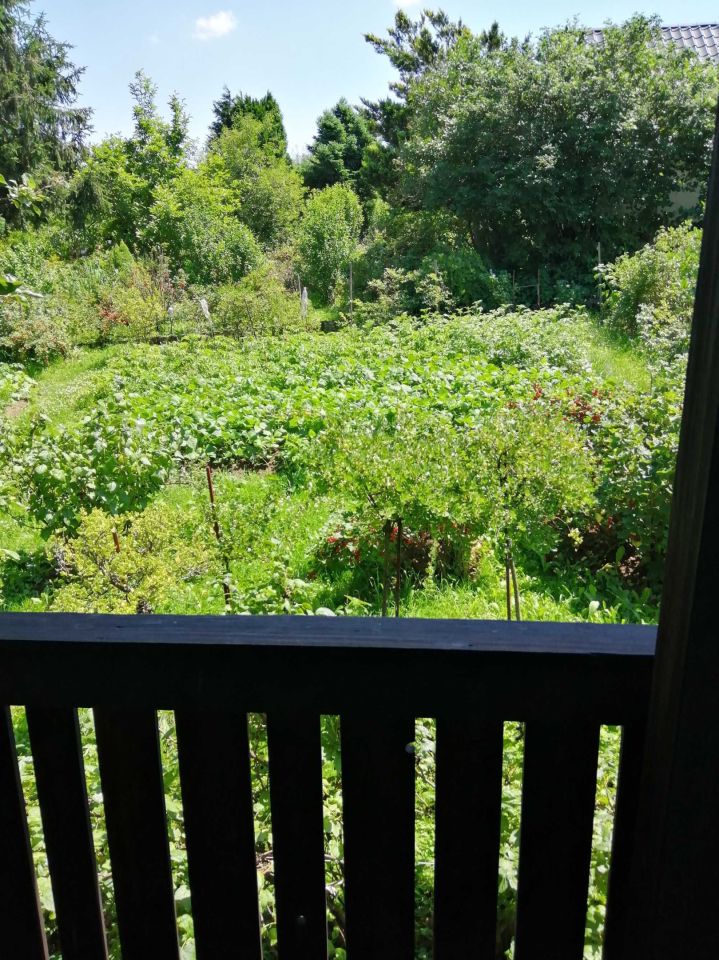 Działka rod Bielsko-Biała, ul. Gościnna. Zdjęcie 3