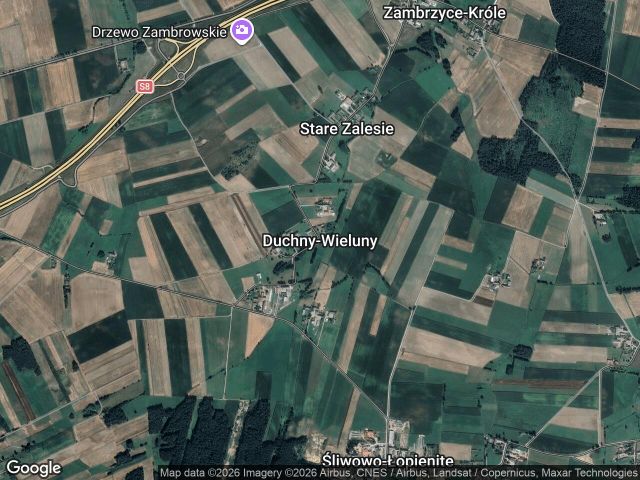 Działka rolna Duchny-Wieluny. Zdjęcie 1