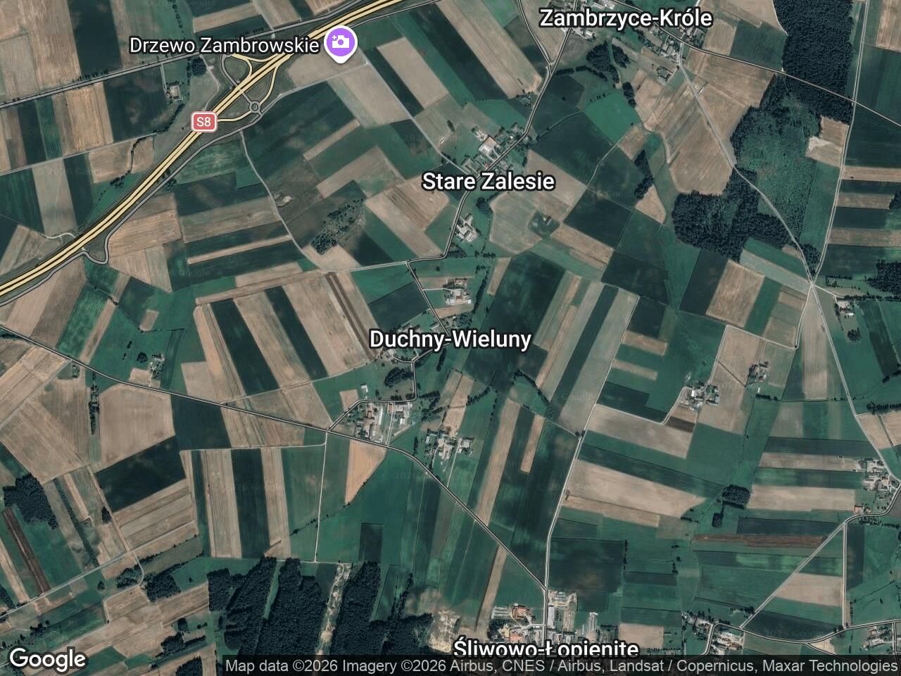 Działka rolna Duchny-Wieluny. Zdjęcie 1