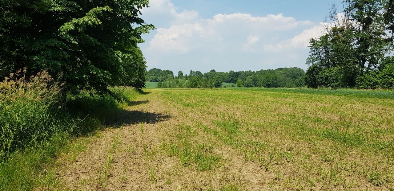 Działka rolna Skrbeńsko, ul. Na Górze. Zdjęcie 7